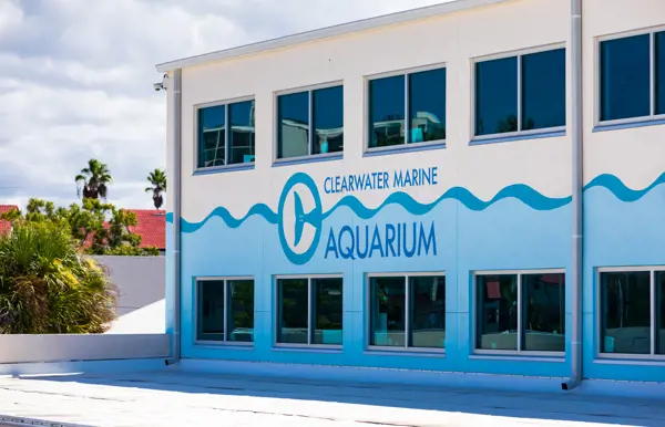 Unterstütze das Marine Aquarium mit deinem Besuch